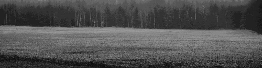Silence-too-breaks-Angelbgolding-BeeJoy