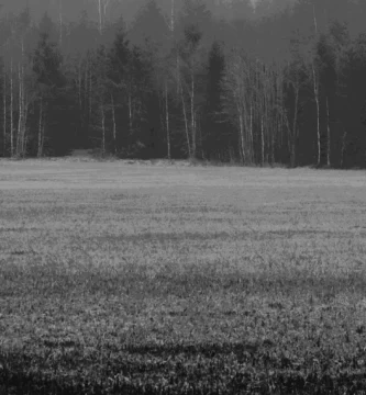 Silence-too-breaks-Angelbgolding-BeeJoy