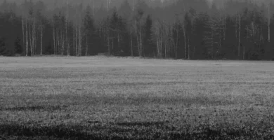Silence-too-breaks-Angelbgolding-BeeJoy