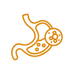 Digestive Sensitivity Icon