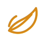 BeeJoy Quality and Ingredients Icon