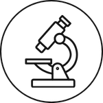 Science-Backed Formulations