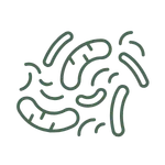 Microbiota and digestion